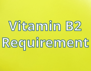 Daily Vitamin B2 Requirement