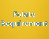article preview  - Daily Folate Requirement