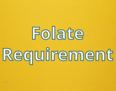 Daily Folate Requirement