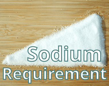 Daily Sodium Requirement
