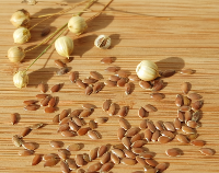 article preview foods - Flax Seed - Small Seeds With Healthy Benefits