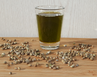 article preview foods - Hemp Oil - Healthy for the Skin and Immune System