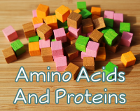 article preview macronutrients - Proteins And Amino Acids - Building Blocks Of The Body