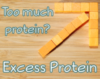 article preview  - Protein Excess - Too Much Protein Unhealthy?