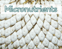 article preview micronutrients - Micronutrients - Nutrients With Elementary Importance