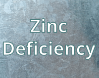 article preview  - Zinc Deficiency - Symptoms, Causes, Therapy