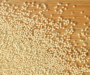 Amaranth Grain