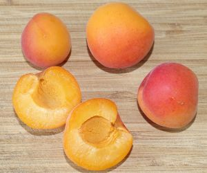 Apricot