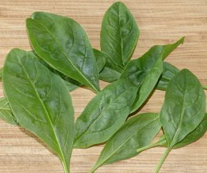Baby Spinach