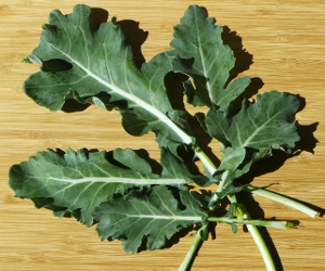 Broccoli Leaves