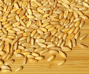 Spelt, uncooked