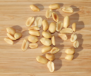 Peanuts, roasted