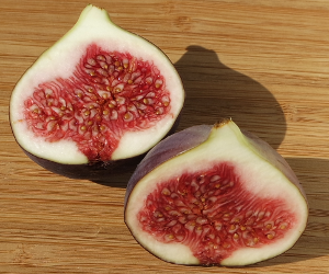 Figs