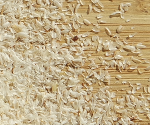 Plantago Ovata Husk (Psyllium Husk)