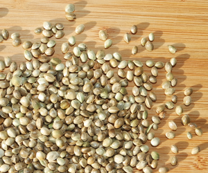 Hemp Seeds With Hull