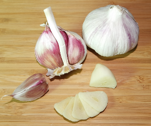Garlic