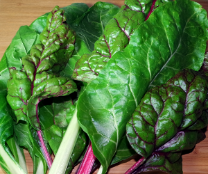Swiss Chard