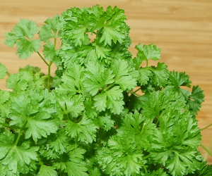 Parsley