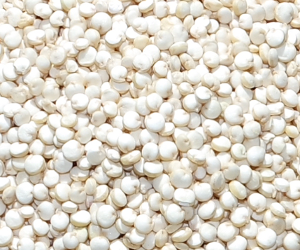 Quinoa
