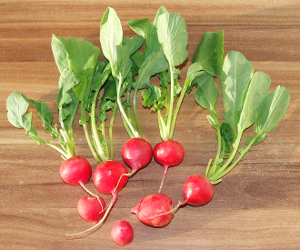 Radishes