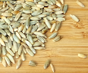 Rye Grain