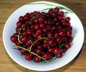 Redcurrants