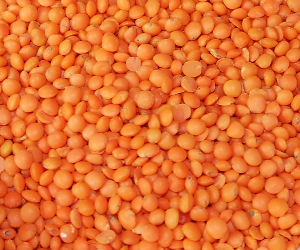 Red Lentils