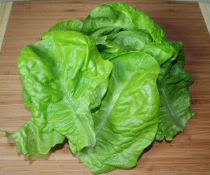 Green Leaf Lettuce