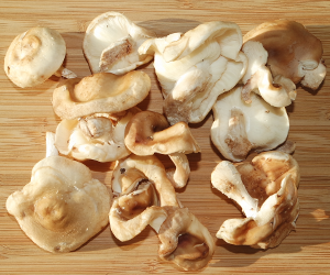 Shiitake Mushrooms