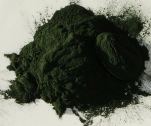 Spirulina Powder
