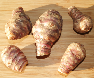 Jerusalem Artichoke (Topinambour / Sunroot)