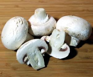 White Mushrooms